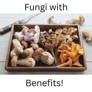 Adaptogenic Mushrooms: Benefits & Types