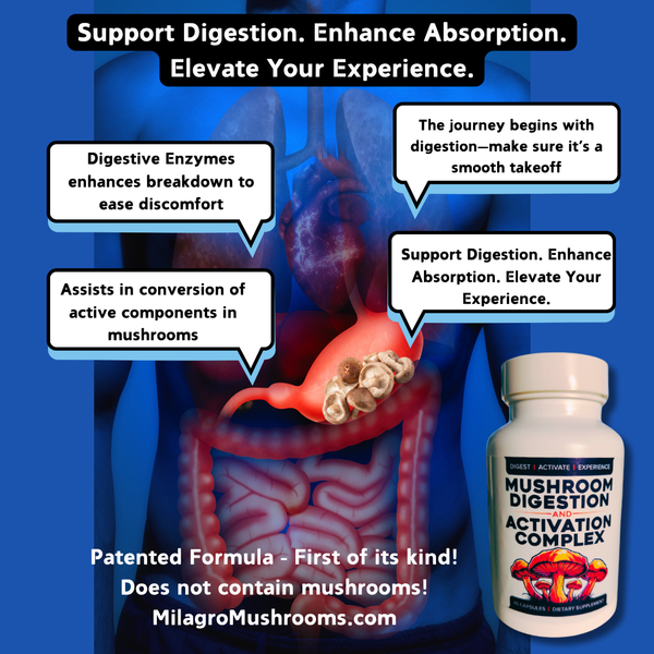 Mushroom Digestive Enzymes