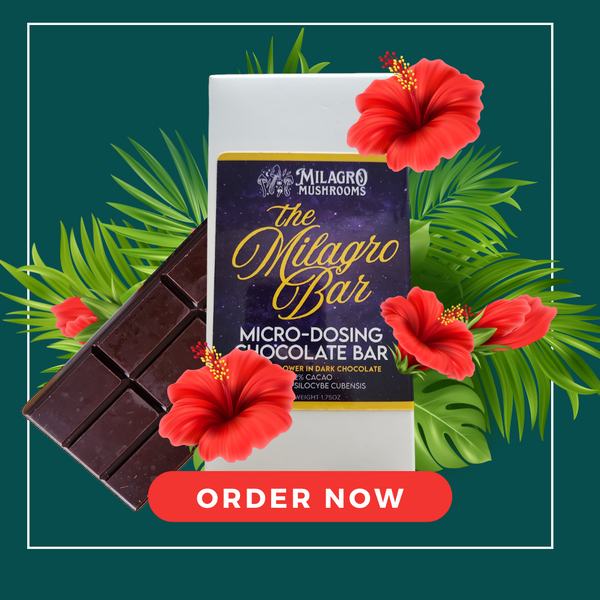 Monthly Mushroom-Chocolate Membership (Hibiscus in Dark Chocolate)