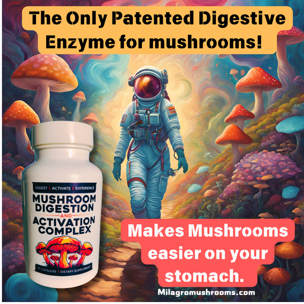 Mushroom Digestive Enzymes